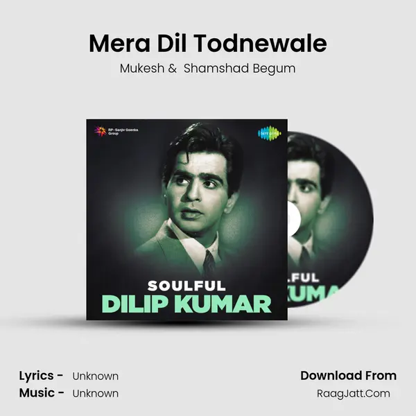 Mera Dil Todnewale Cover