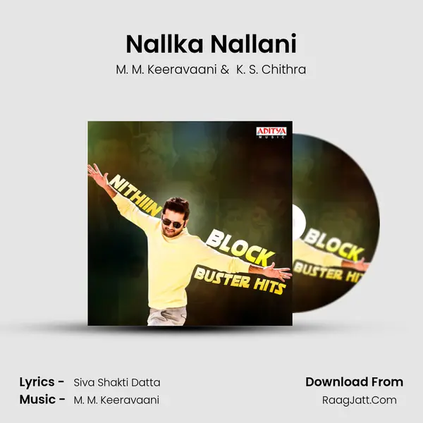 Nallka Nallani Cover