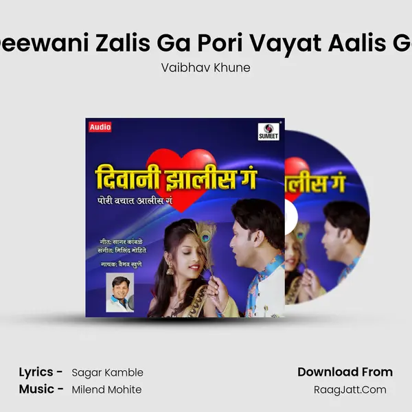 Deewani Zalis Ga Pori Vayat Aalis Ga mp3 song