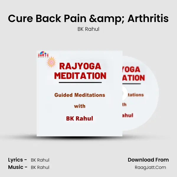 Cure Back Pain & Arthritis MP3 Song by BK Rahul Cover