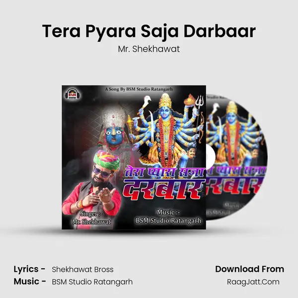 Tera Pyara Saja Darbaar MP3 Song by Mr. Shekhawat Cover
