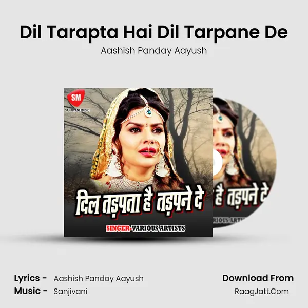 Dil Tarapta Hai Dil Tarpane De mp3 song
