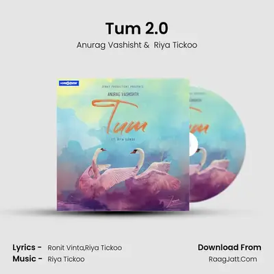 Tum 2.0 MP3 Song by Anurag Vashisht Cover