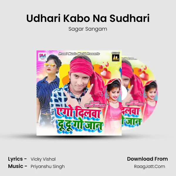 Udhari Kabo Na Sudhari Cover