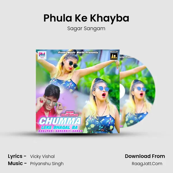 Phula Ke Khayba Cover