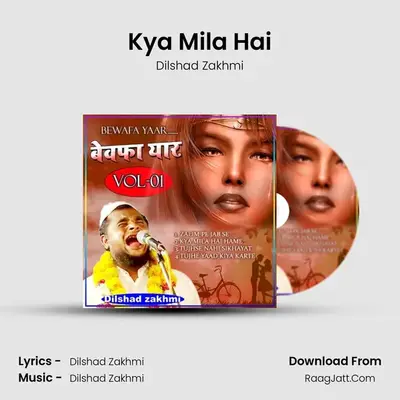 Kya Mila Hai MP3 Song by Dilshad Zakhmi Cover