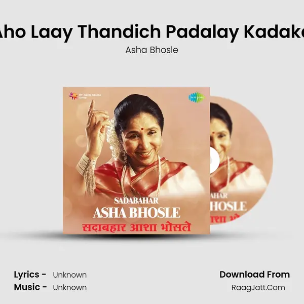 Aho Laay Thandich Padalay Kadaka Cover