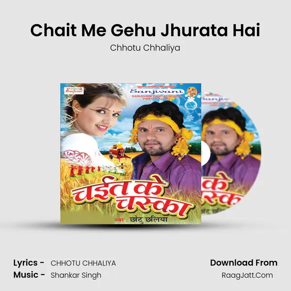 Chait Me Gehu Jhurata Hai MP3 Song by Chhotu Chhaliya Cover
