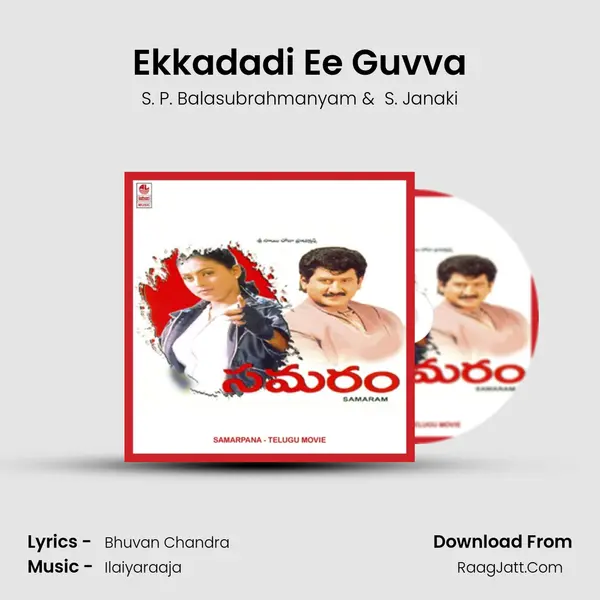 Ekkadadi Ee Guvva MP3 Song by S. P. Balasubrahmanyam Cover