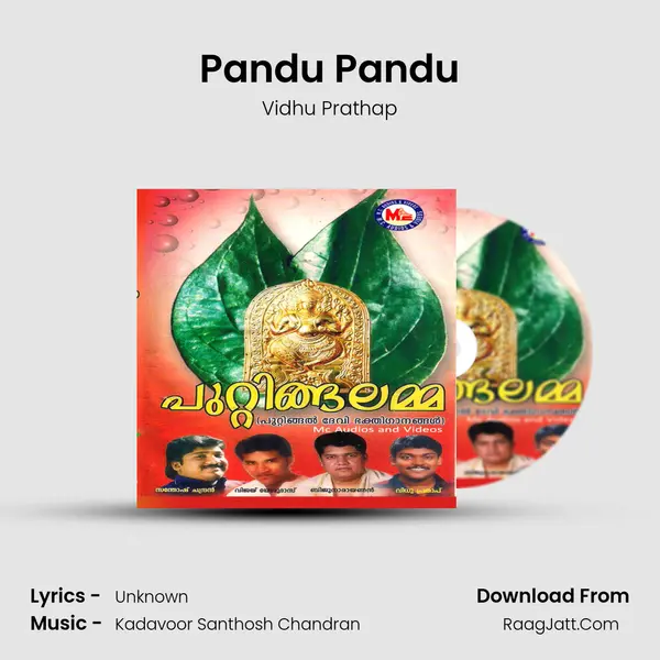 Pandu Pandu MP3 Song by Vidhu Prathap Cover