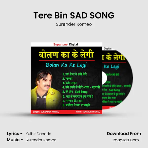 Tere Bin SAD SONG MP3 Song by Surender Romeo Cover