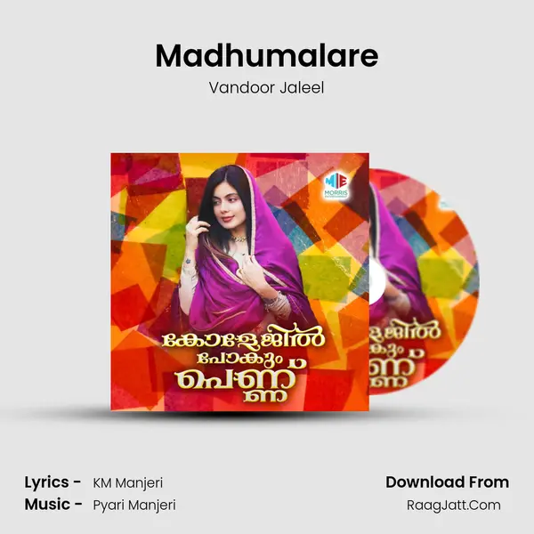 Madhumalare MP3 Song by Vandoor Jaleel Cover