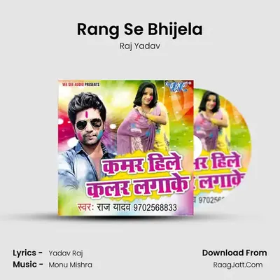 Rang Se Bhijela MP3 Song by Raj Yadav Cover
