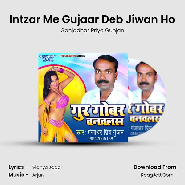 Intzar Me Gujaar Deb Jiwan Ho MP3 Song by Ganjadhar Priye Gunjan Cover