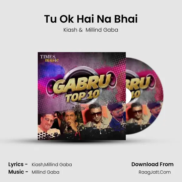 Tu Ok Hai Na Bhai mp3 song