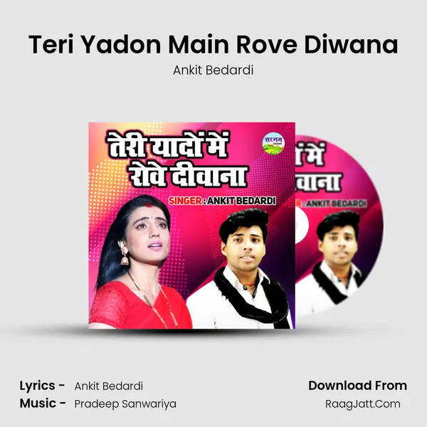 Teri Yadon Main Rove Diwana Cover