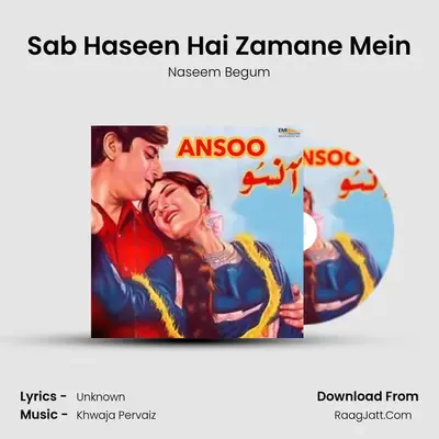 Sab Haseen Hai Zamane Mein mp3 song
