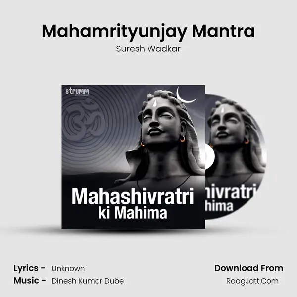Mahamrityunjay Mantra Cover