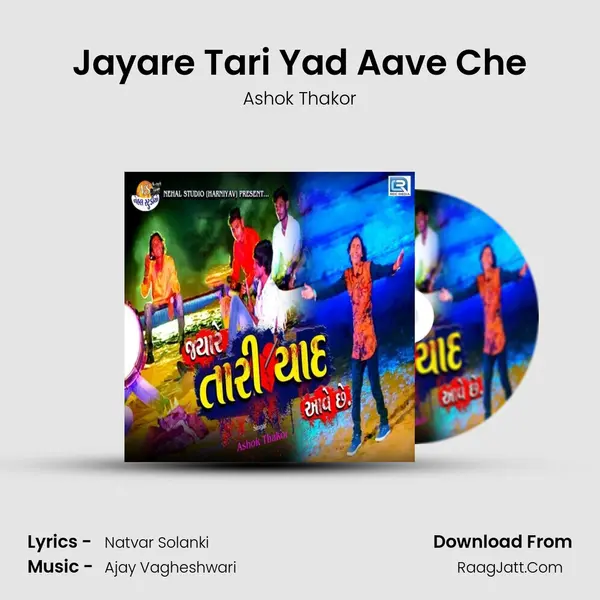 Jayare Tari Yad Aave Che mp3 song