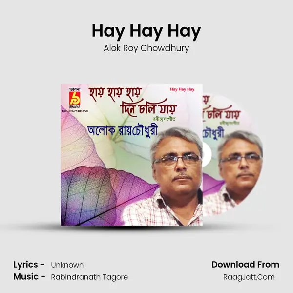 Hay Hay Hay mp3 song