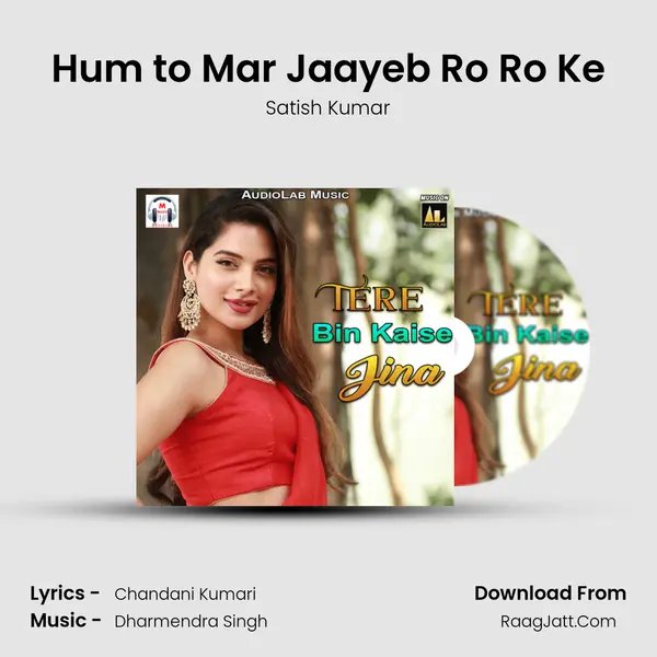 Hum to Mar Jaayeb Ro Ro Ke Cover