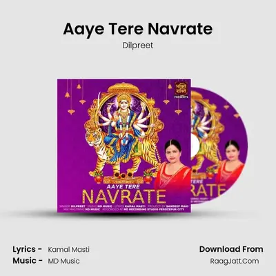 Aaye Tere Navrate mp3 song