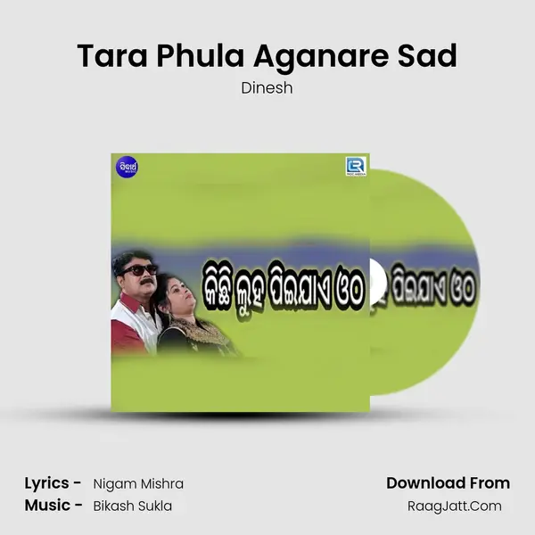 Tara Phula Aganare Sad MP3 Song by Dinesh Cover