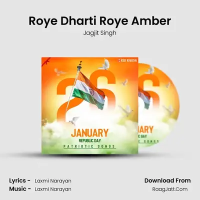 Roye Dharti Roye Amber Cover