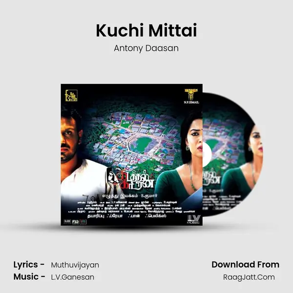 Kuchi Mittai MP3 Song by Antony Daasan Cover