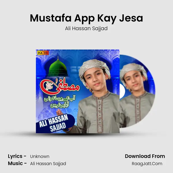 Ali Hassan Sajjad