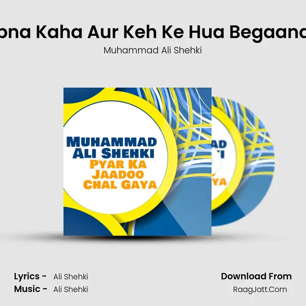 Apna Kaha Aur Keh Ke Hua Begaanaa MP3 Song by Muhammad Ali Shehki Cover