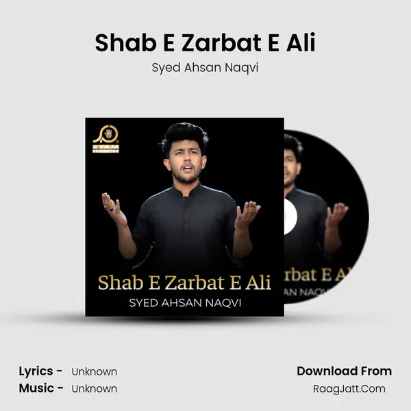 Shab E Zarbat E Ali - Single - 