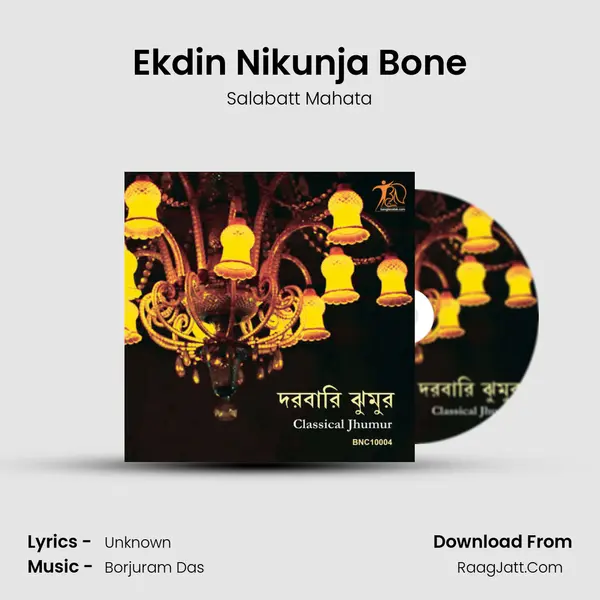 Ekdin Nikunja Bone MP3 Song by Salabatt Mahata Cover