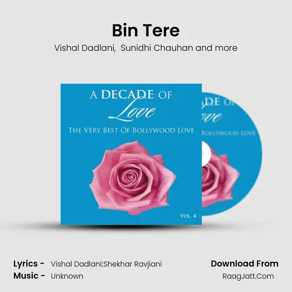 Bin Tere MP3 Song by Vishal Dadlani Cover