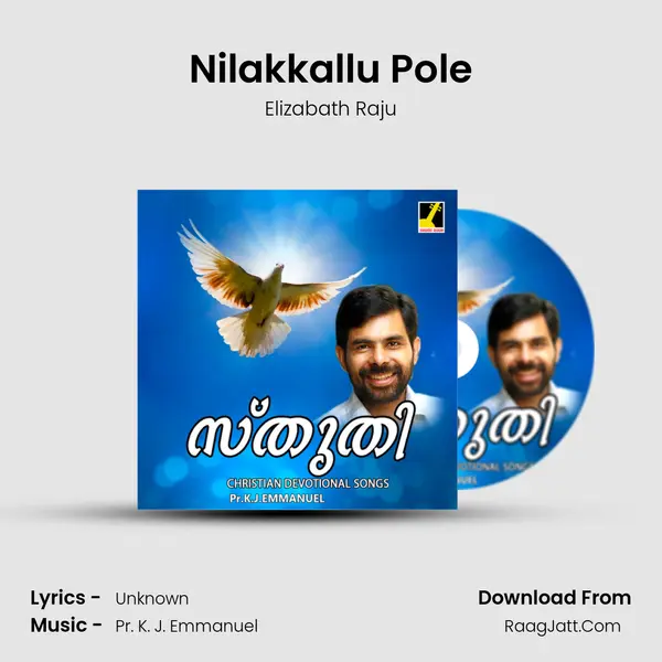 Nilakkallu Pole MP3 Song by Elizabath Raju Cover