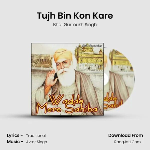 Tujh Bin Kon Kare mp3 song