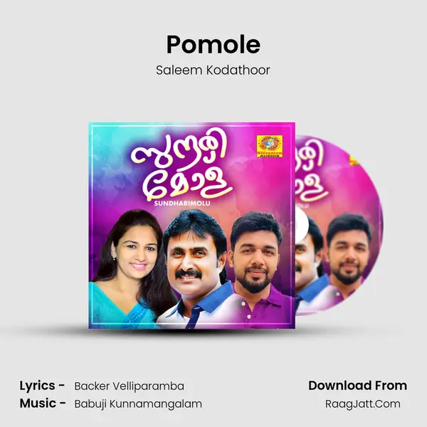 Pomole MP3 Song by Saleem Kodathoor Cover