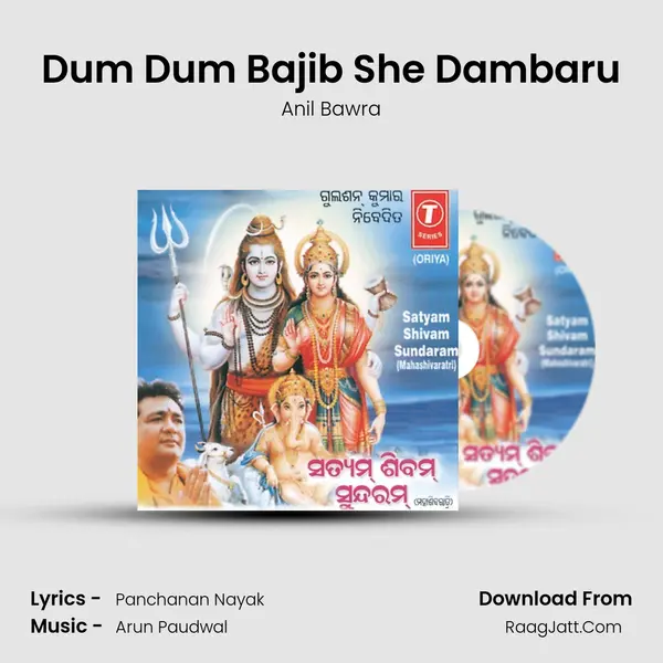 Dum Dum Bajib She Dambaru MP3 Song by Anil Bawra Cover
