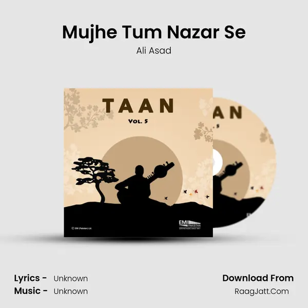Mujhe Tum Nazar Se MP3 Song by Ali Asad Cover