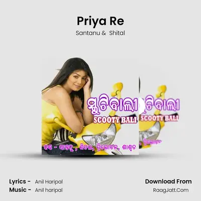 Priya Re MP3 Song by Santanu Cover