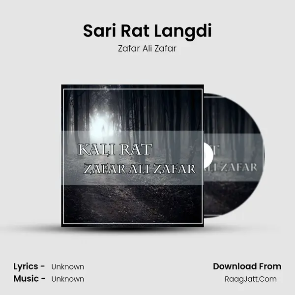 Sari Rat Langdi MP3 Song by Zafar Ali Zafar Cover