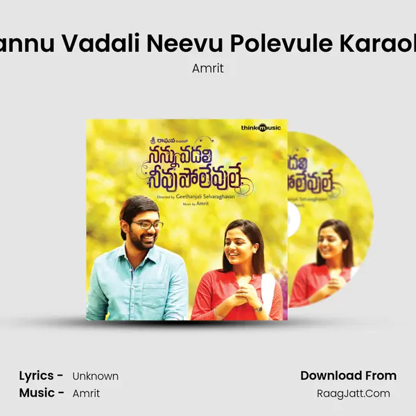 Nannu Vadali Neevu Polevule Karaoke MP3 Song by Amrit Cover