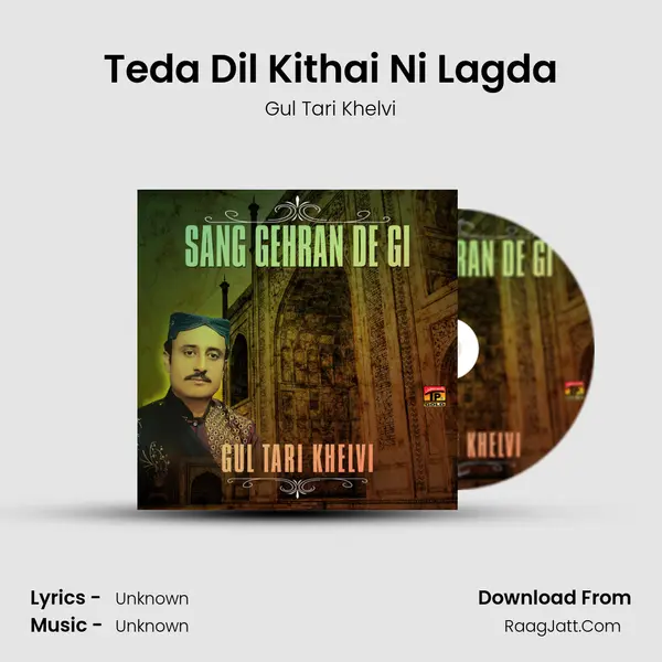 Teda Dil Kithai Ni Lagda MP3 Song by Gul Tari Khelvi Cover