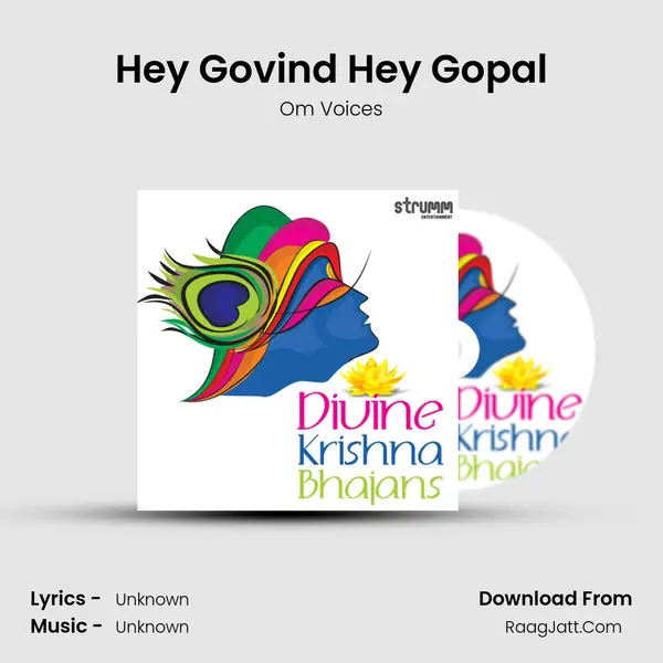 Hey Govind Hey Gopal Cover
