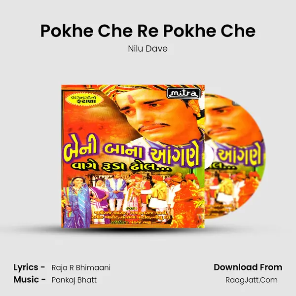 Pokhe Che Re Pokhe Che MP3 Song by Nilu Dave Cover
