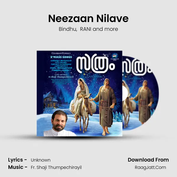 Neezaan Nilave MP3 Song by Bindhu Cover