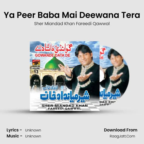 Ya Peer Baba Mai Deewana Tera MP3 Song by Sher Miandad Khan Fareedi Qawwal Cover