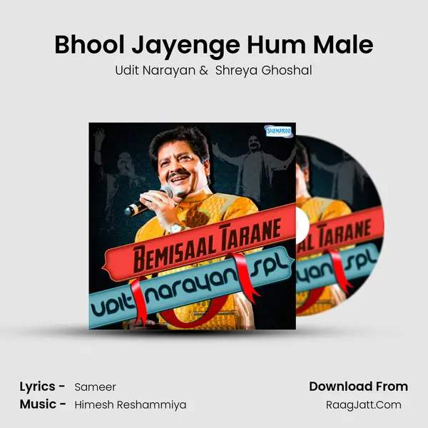 Bhool Jayenge Hum Male MP3 Song by Udit Narayan Cover