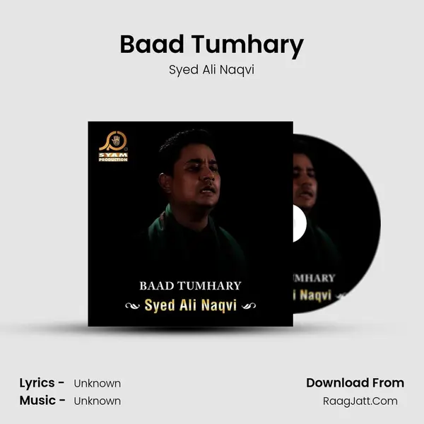 Baad Tumhary MP3 Song by Syed Ali Naqvi Cover