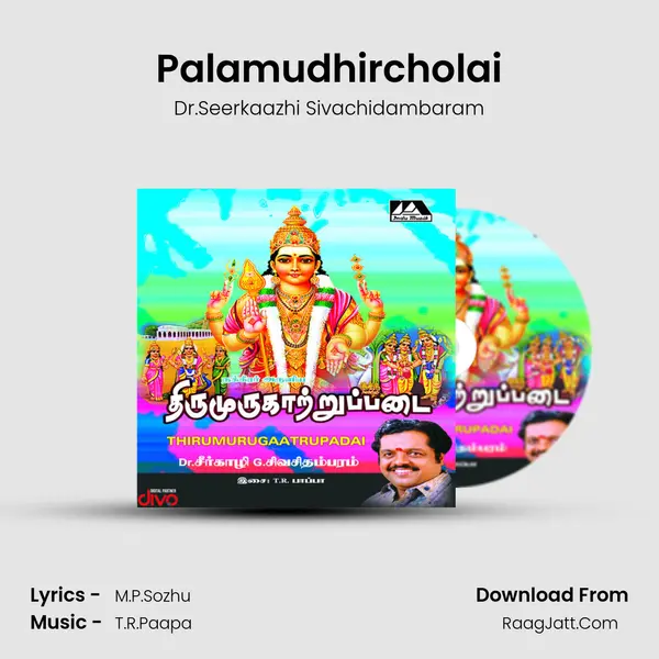 Palamudhircholai MP3 Song by Dr.Seerkaazhi Sivachidambaram Cover